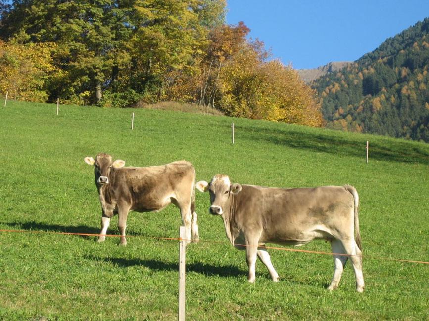 Mantingerhof Apartments Funes  Exteriör bild